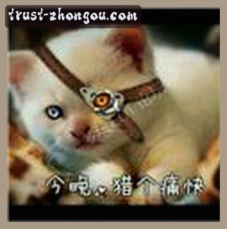 赵敏